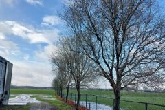 Boomgaard langs de koeienwei