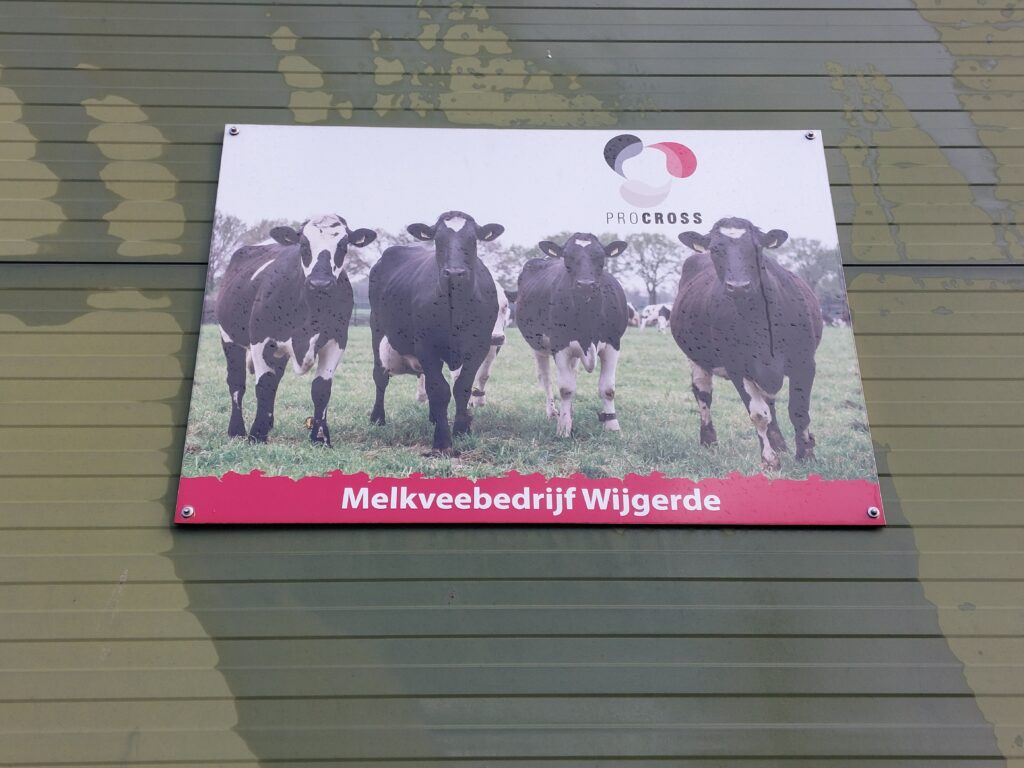 Bord op de voorkant van de serrestal met de naam van de boerderij, Melkveebedrijf Wijgerde.